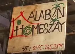 Island district develops environmentally-friendly homestay model