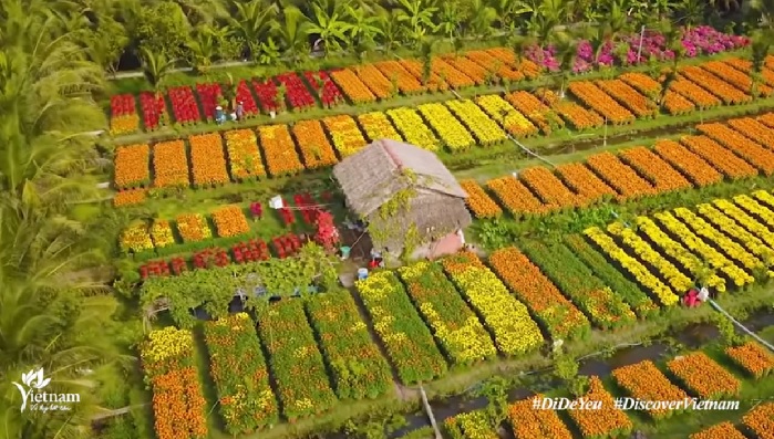 Discover Viet Nam: Culinary and culture destination