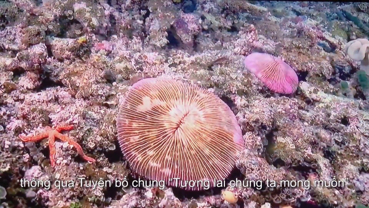 Let’s act together to keep our oceans free of plastic!